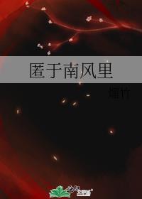 匿于南风里