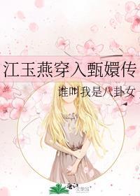 江玉燕穿入甄嬛传