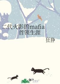 二代火影的mafia首领生涯