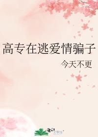 高专在逃爱情骗子