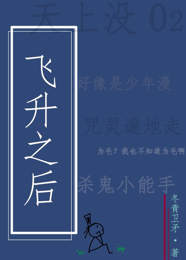 飞升之后