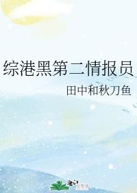 综港黑第二情报员