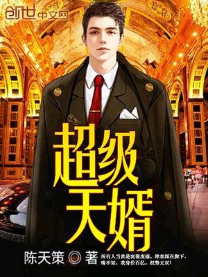 超级天婿