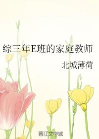 综三年E班的家庭教师