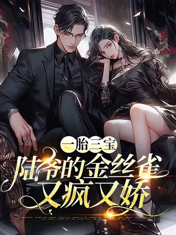 一胎三宝：陆爷的金丝雀又疯又娇