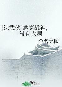 [综武侠]洒家战神，没有大病
