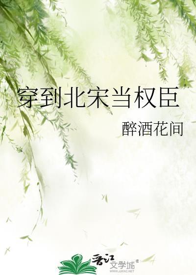 穿到北宋当权臣
