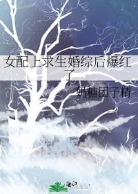 女配上求生婚综后爆红了