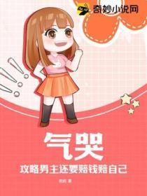 气哭，攻略男主还要赔钱赔自己