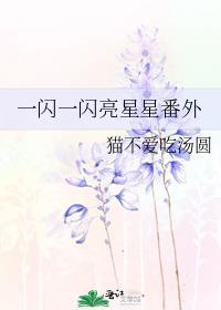 一闪一闪亮星星番外