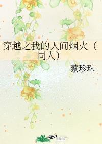 穿越之我的人间烟火（同人）