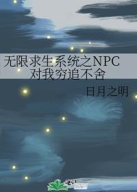 无限求生系统之NPC对我穷追不舍