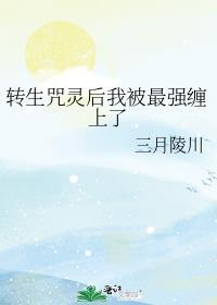 转生咒灵后我被最强缠上了