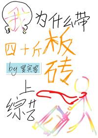 我为什么带四十斤板砖上综艺