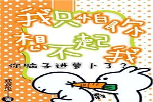 我只怕你想不起我